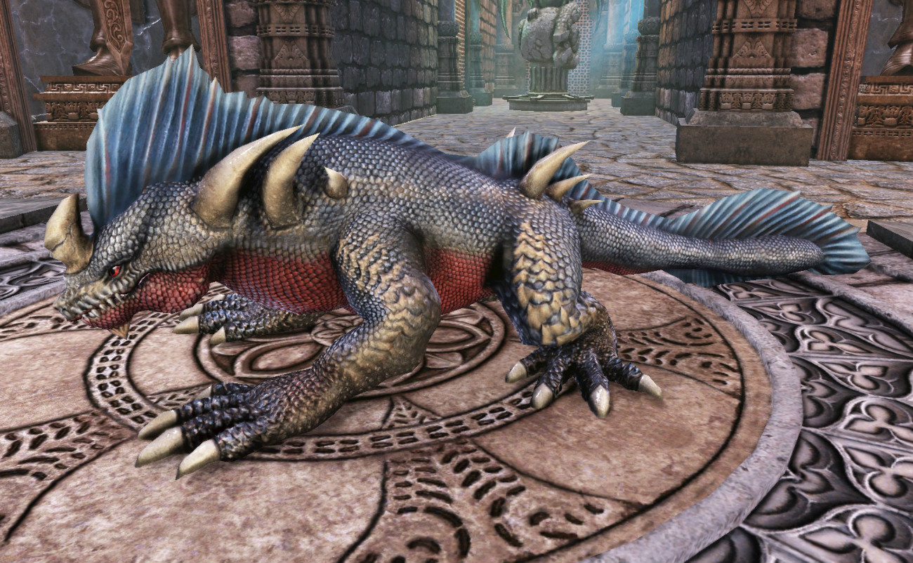 リクサリノス_20150208_224733.jpg リクサリノス_20150208_224733.jpg