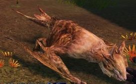 ファナバッド_0.jpg ファナバッド_0.jpg