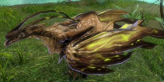 DragonsProphet_20130617_164753_1.jpg DragonsProphet_20130617_164753_1.jpg