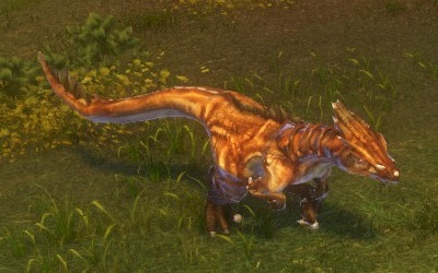 DP_ウィルドネニンブルドラゴン.jpg DP_ウィルドネニンブルドラゴン.jpg