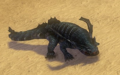 DP_シーラクア.jpg DP_シーラクア.jpg