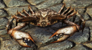 カニ.png カニ.png