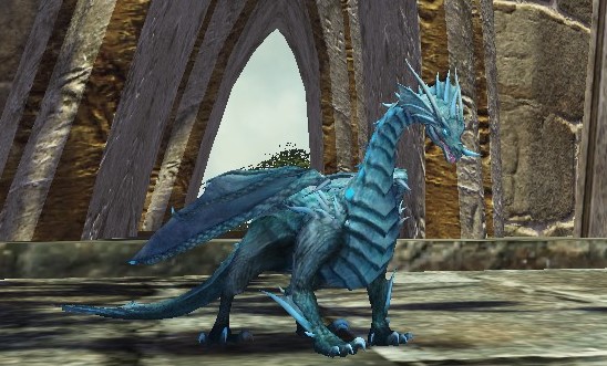 サファイアスケイル.jpg サファイアスケイル.jpg