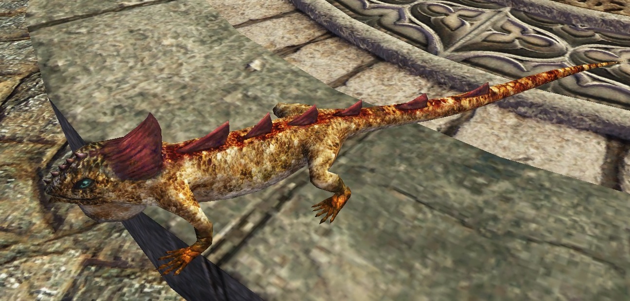 トカゲ.jpg トカゲ.jpg