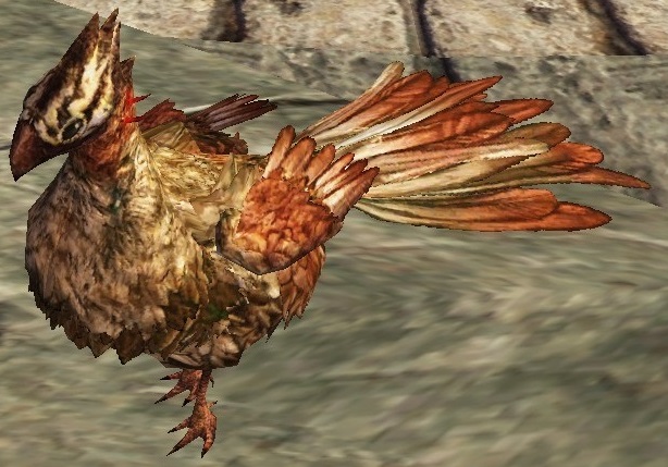 ニワトリ.jpg ニワトリ.jpg