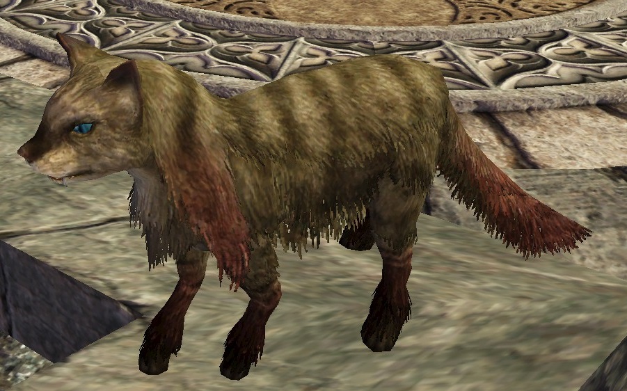 ネコ.jpg ネコ.jpg