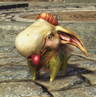 ノア.jpg ノア.jpg