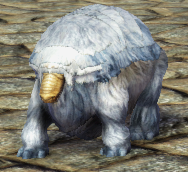 ヤングアンダース.png ヤングアンダース.png