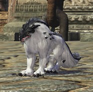 ヤングドラゴンウルフ.jpg ヤングドラゴンウルフ.jpg