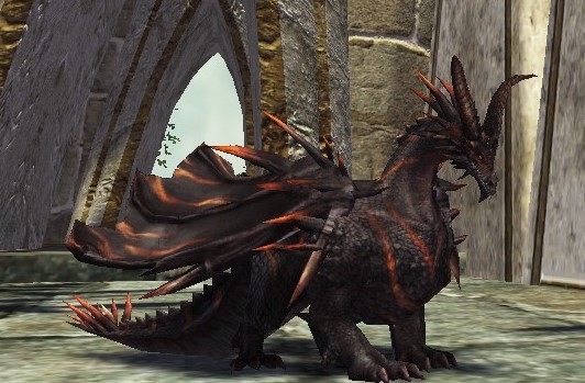 ラハブジュニア.jpg ラハブジュニア.jpg