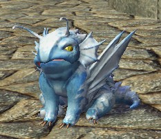 レオ.jpg レオ.jpg