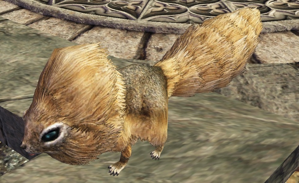 白いリス.jpg 白いリス.jpg