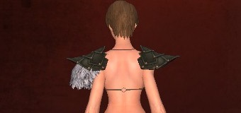 クリックで元のサイズの画像を表示 クリックで元のサイズの画像を表示