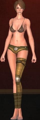 クリックで元のサイズの画像を表示 クリックで元のサイズの画像を表示