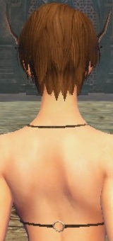 クリックで元のサイズの画像を表示 クリックで元のサイズの画像を表示