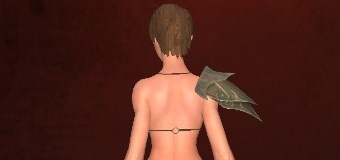 クリックで元のサイズの画像を表示 クリックで元のサイズの画像を表示