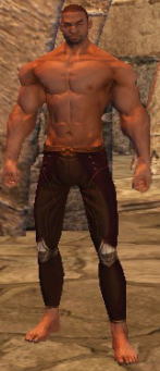 クリックで元のサイズの画像を表示 クリックで元のサイズの画像を表示