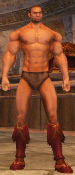 クリックで元のサイズの画像を表示 クリックで元のサイズの画像を表示