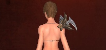 クリックで元のサイズの画像を表示 クリックで元のサイズの画像を表示