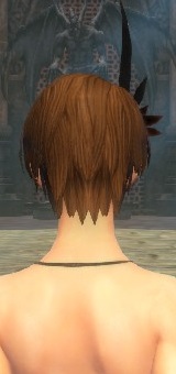 クリックで元のサイズの画像を表示 クリックで元のサイズの画像を表示