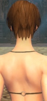 クリックで元のサイズの画像を表示 クリックで元のサイズの画像を表示