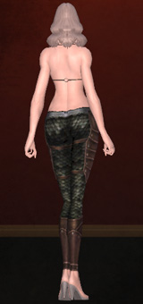 クリックで元のサイズの画像を表示 クリックで元のサイズの画像を表示